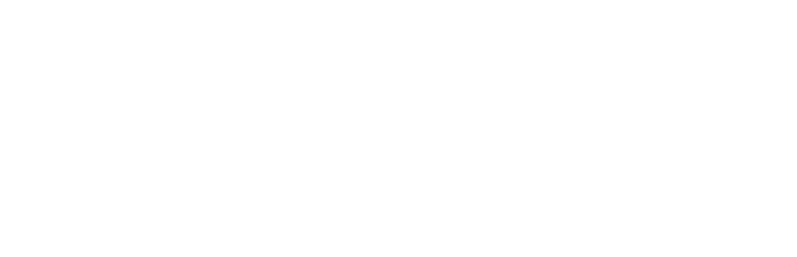 Logotipo do aplicativo Record Plus